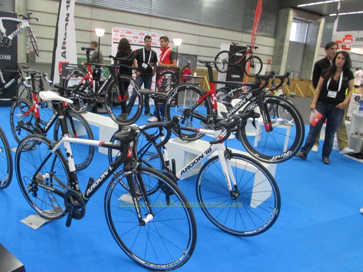 BIBE 2014