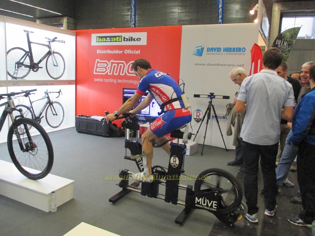 BIBE 2014