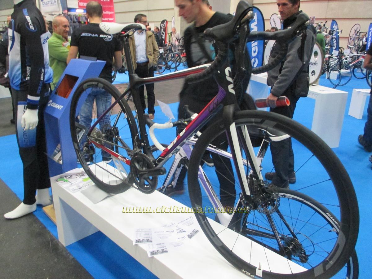 BIBE 2014