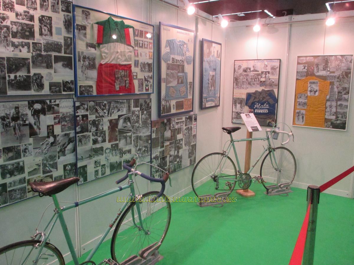 BIBE 2014