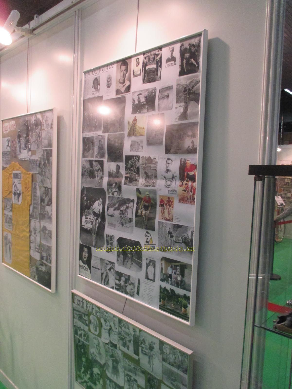 BIBE 2014