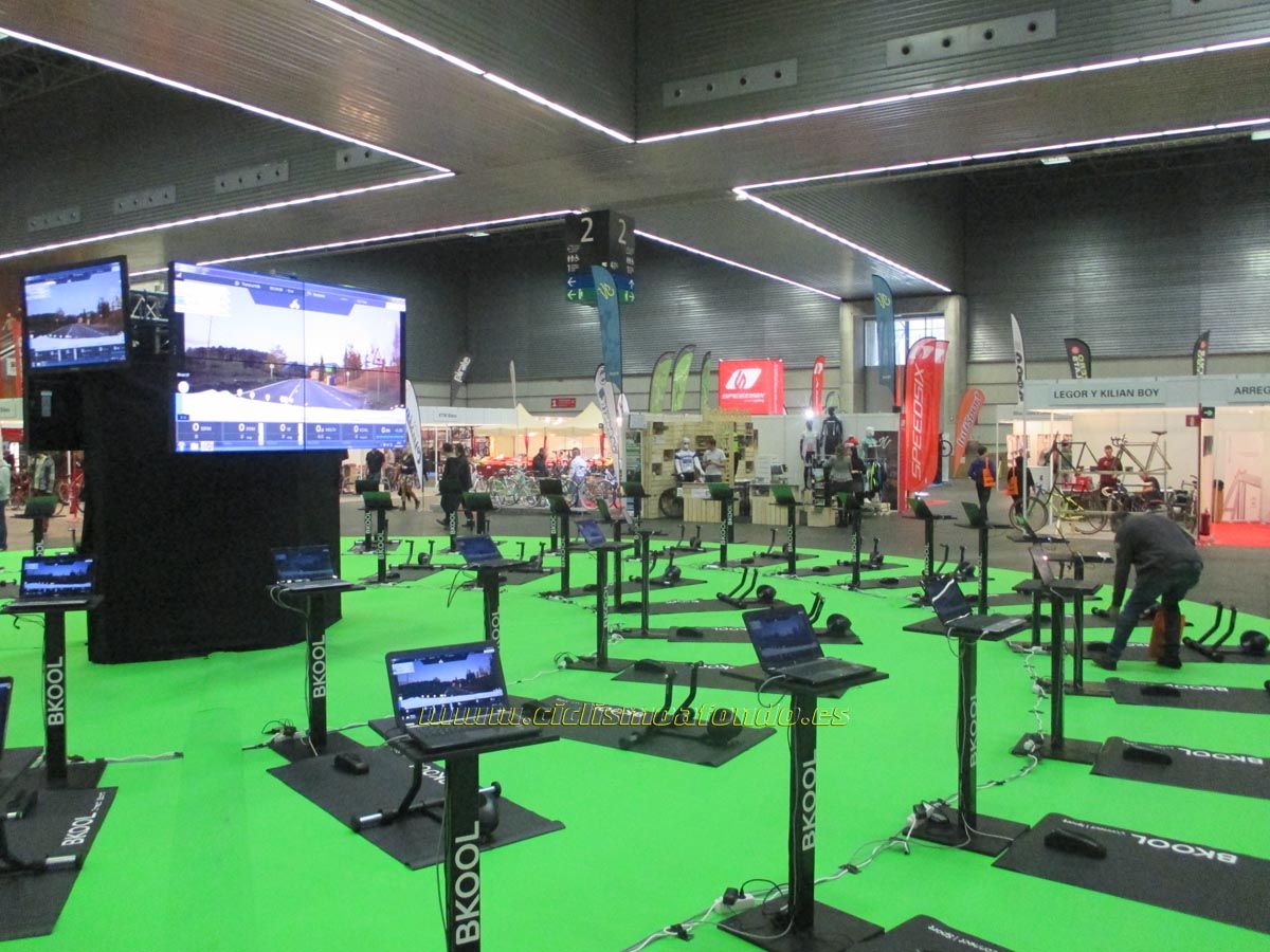 BIBE 2014