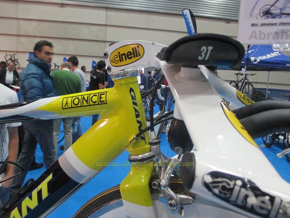 BIBE 2014