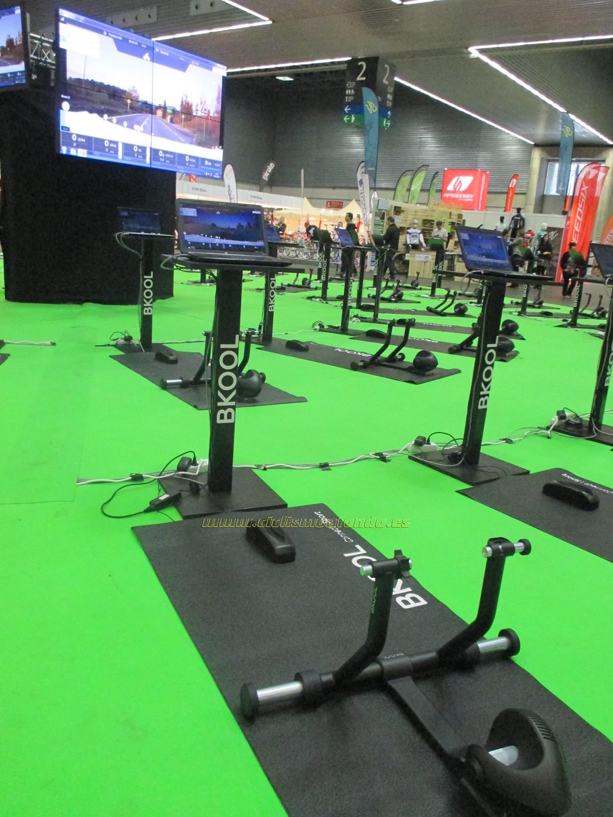 BIBE 2014