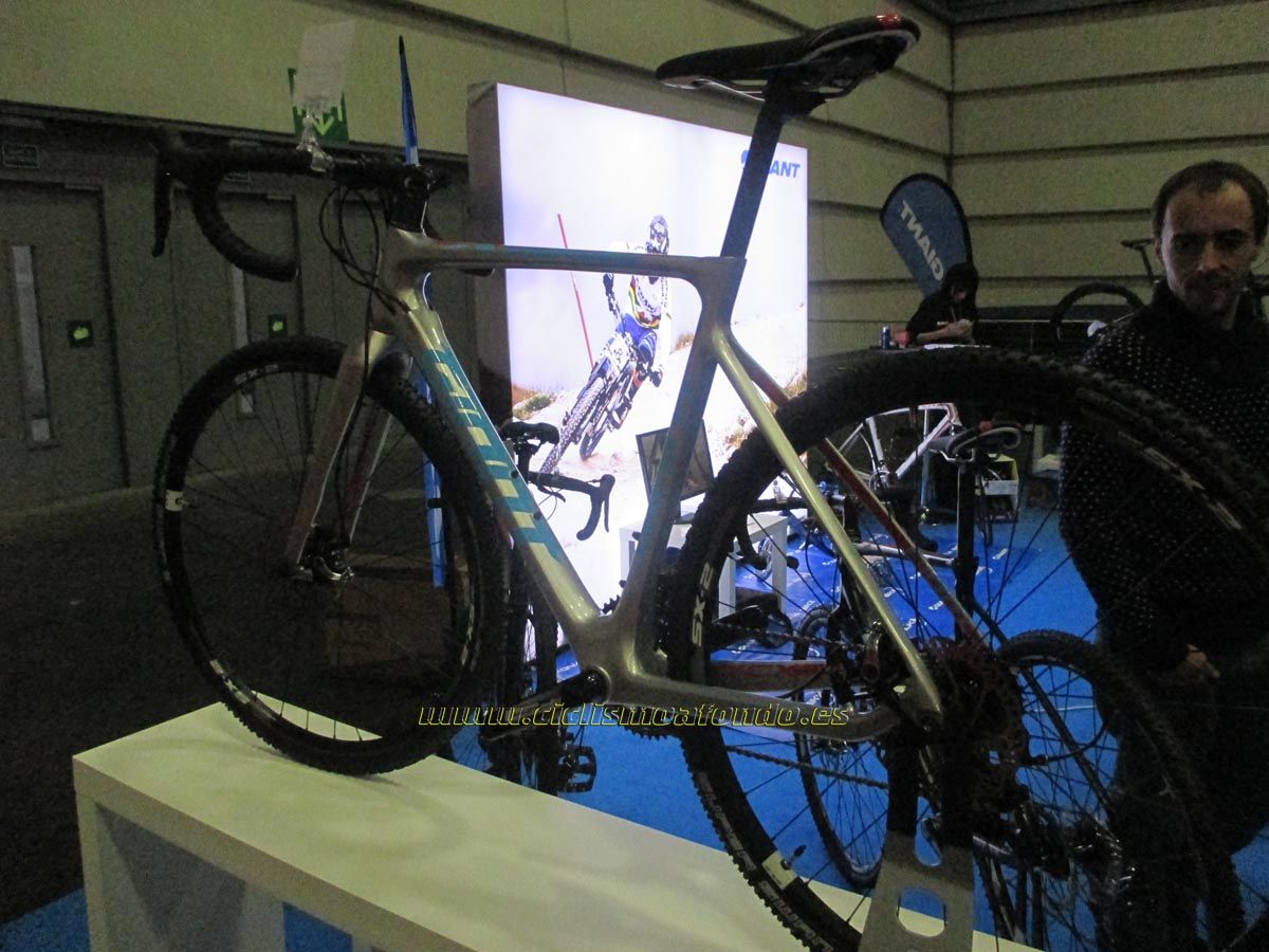BIBE 2014