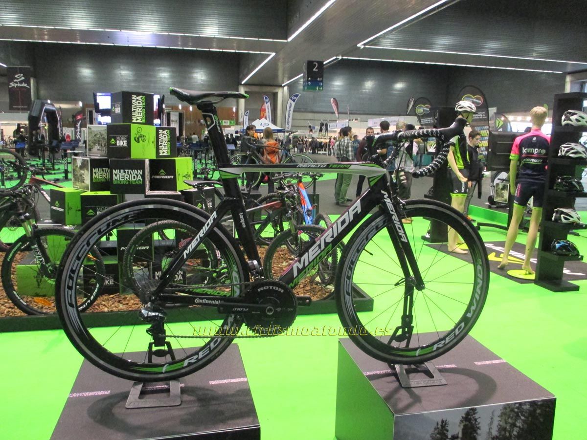 BIBE 2014