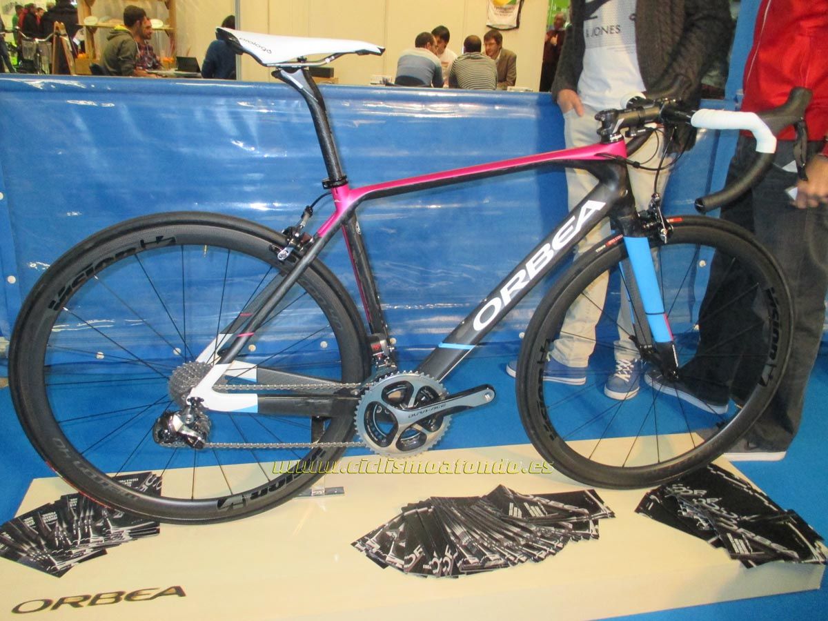 BIBE 2014