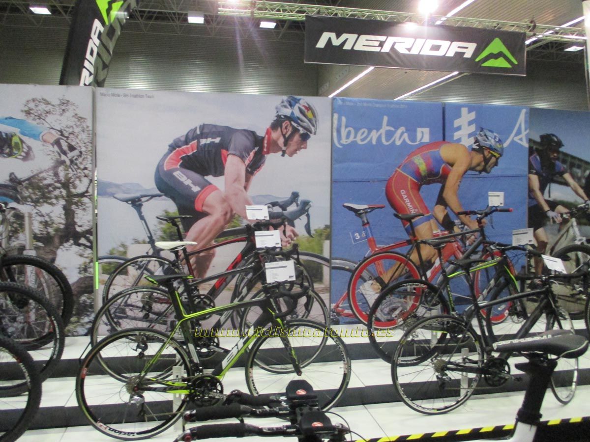 BIBE 2014