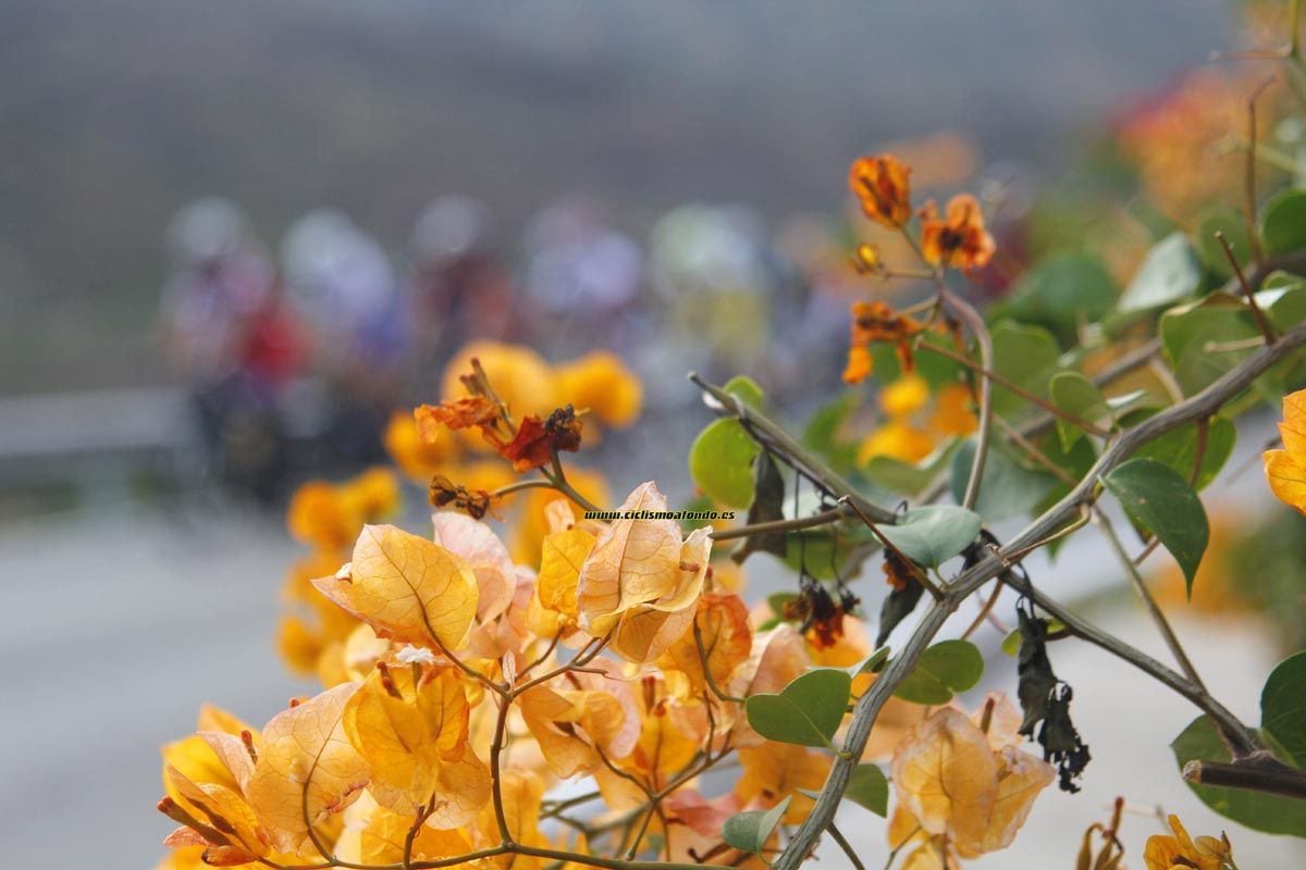 La Cicloturista 2014_3