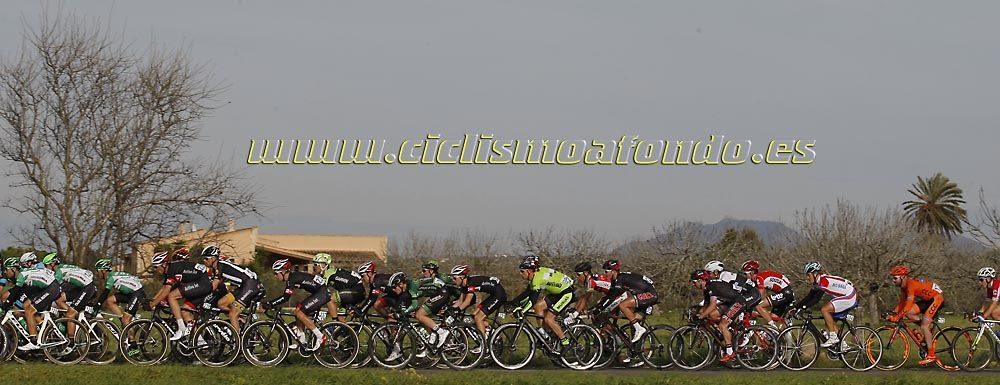 Las mejores imágenes de la Challenge de Mallorca 2015