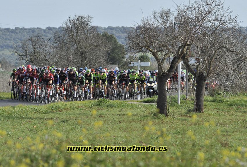 Las mejores imágenes de la Challenge de Mallorca 2015