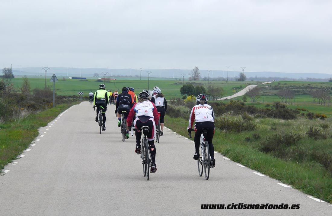Kedada Urrez Campagnolo 2016_1