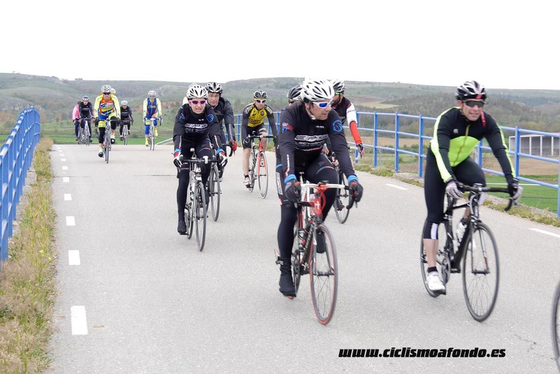 Kedada Urrez Campagnolo 2016_1