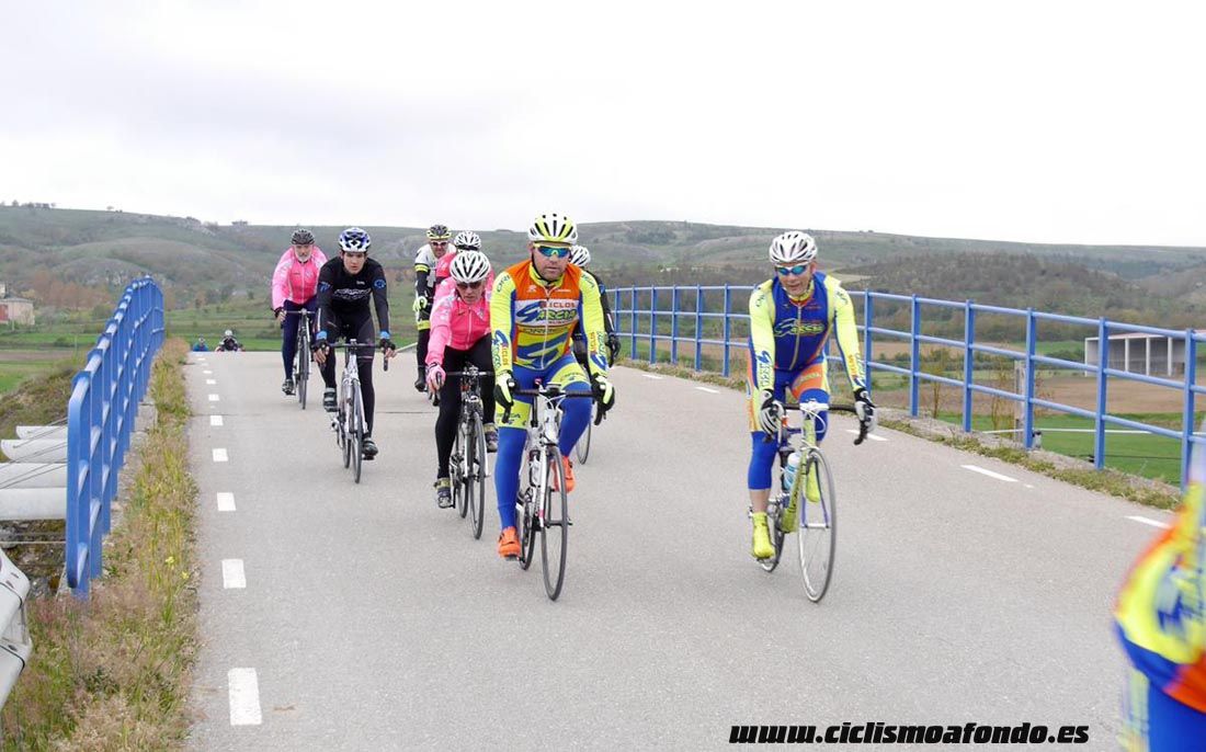 Kedada Urrez Campagnolo 2016_1