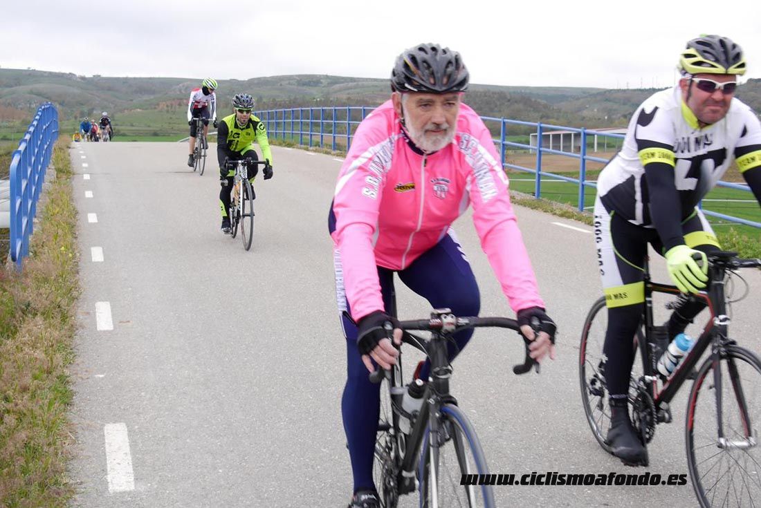 Kedada Urrez Campagnolo 2016_1