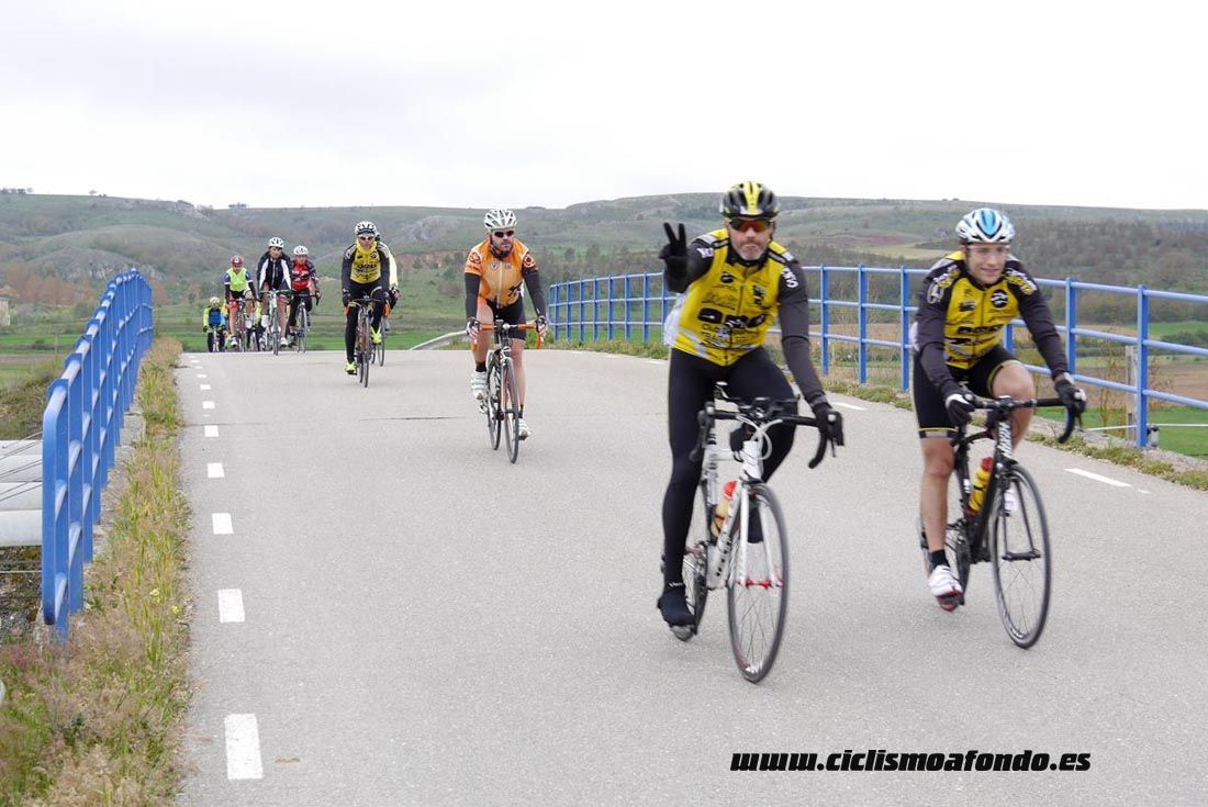 Kedada Urrez Campagnolo 2016_1