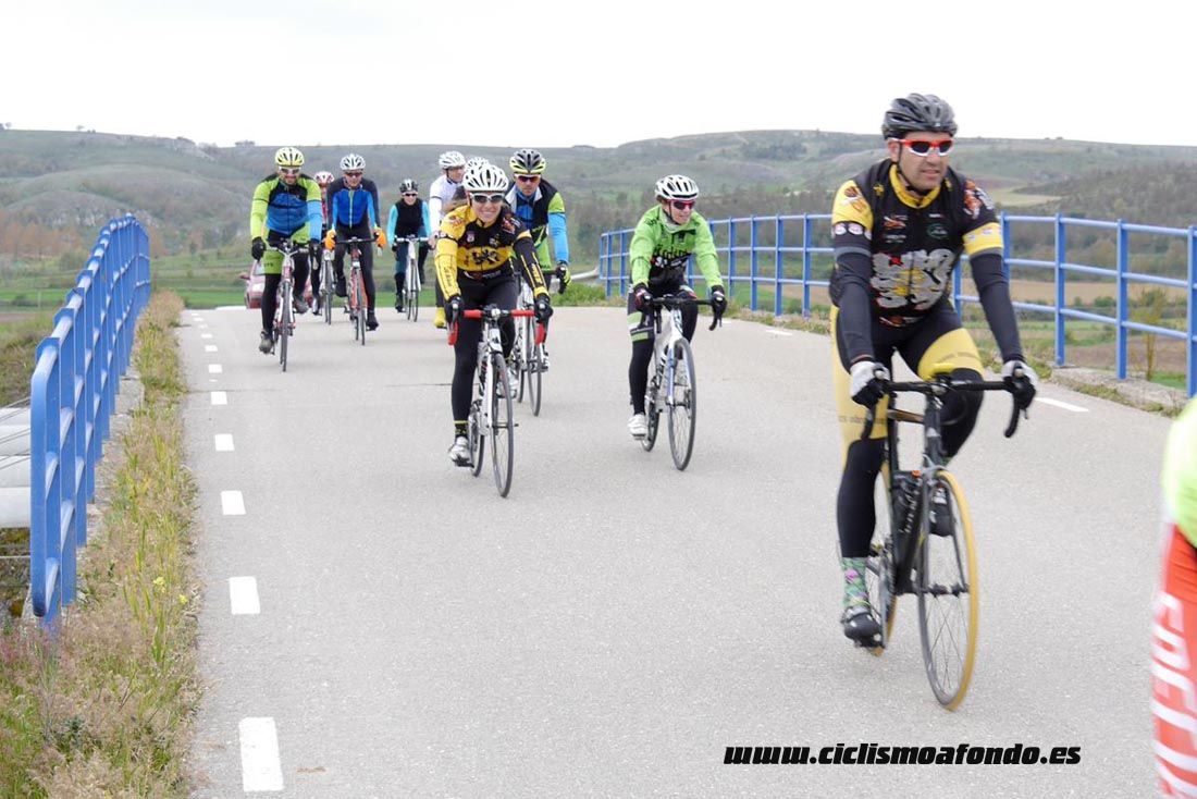 Kedada Urrez Campagnolo 2016_1