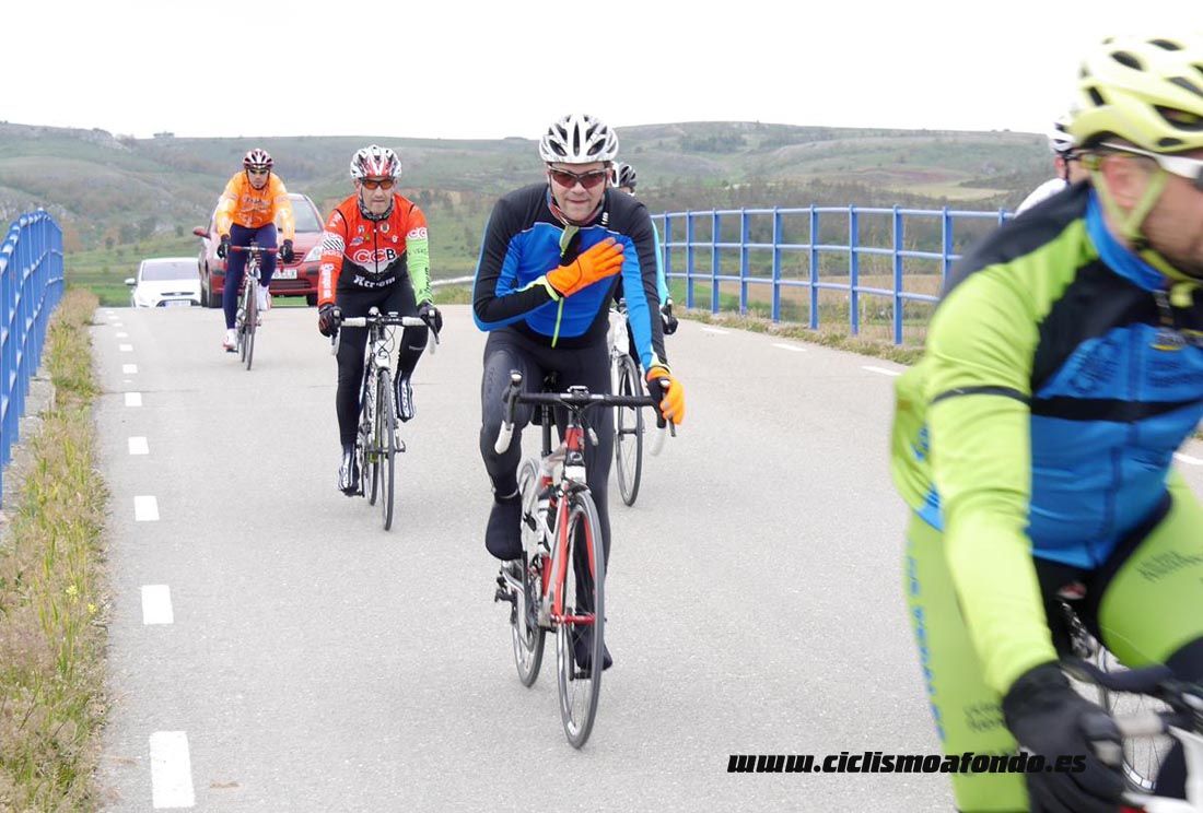 Kedada Urrez Campagnolo 2016_1