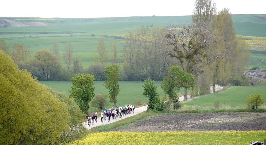Kedada Urrez Campagnolo 2016_1