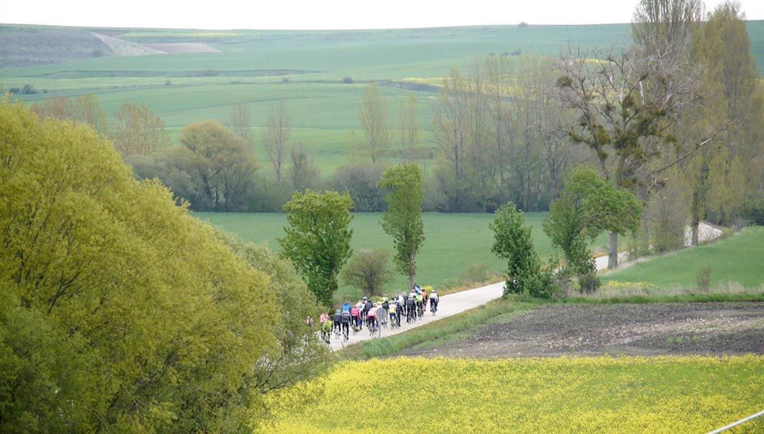 Kedada Urrez Campagnolo 2016_1
