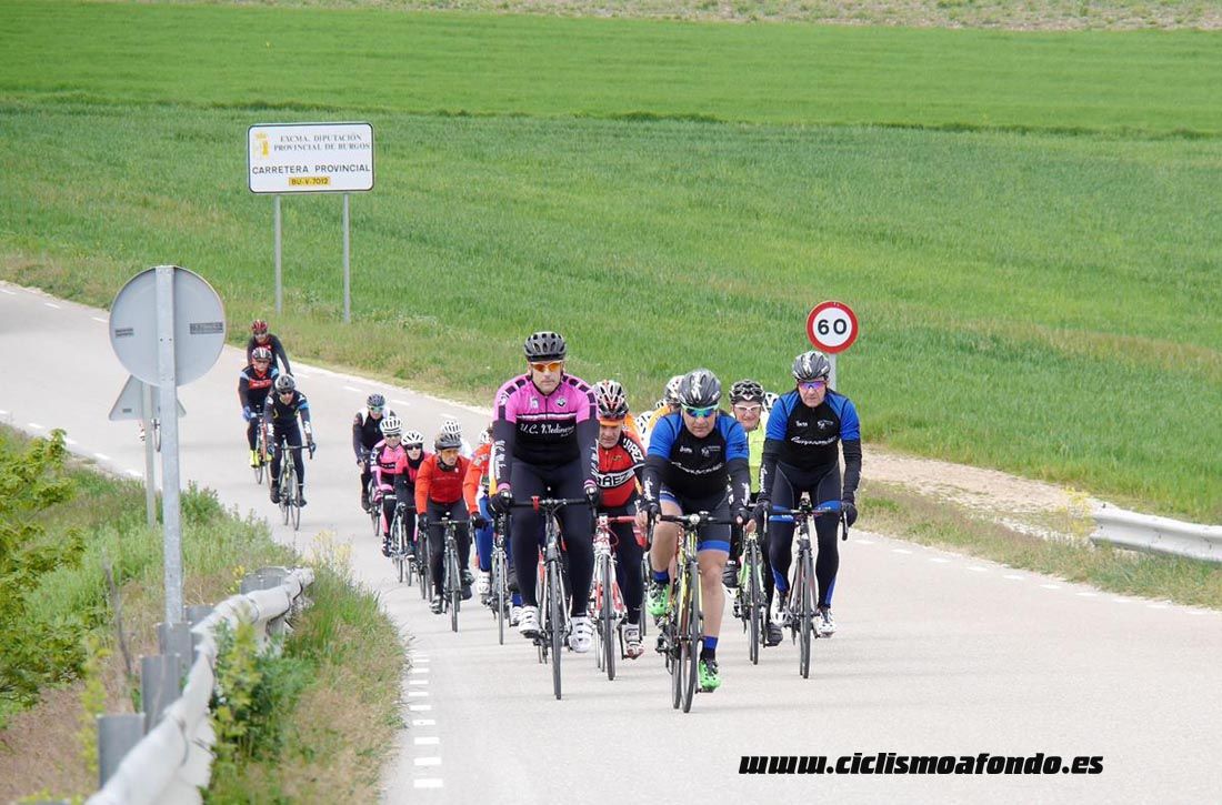 Kedada Urrez Campagnolo 2016_1