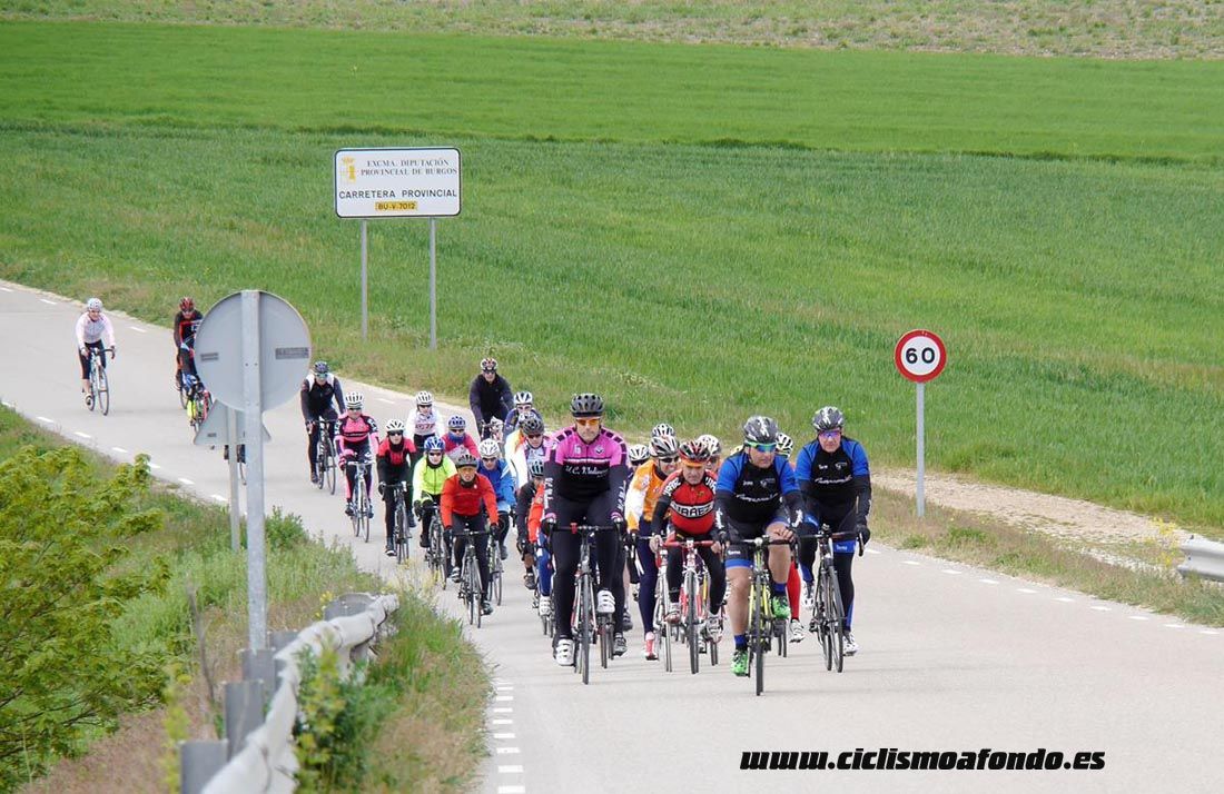 Kedada Urrez Campagnolo 2016_1