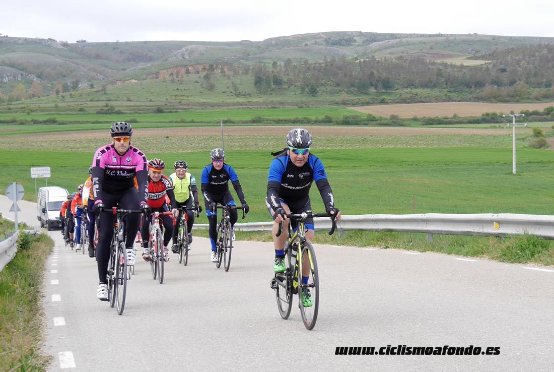Kedada Urrez Campagnolo 2016_1