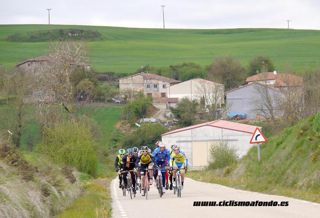 Kedada Urrez Campagnolo 2016_1