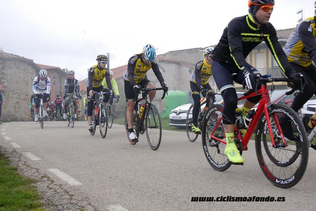 Kedada Urrez Campagnolo 2016_1