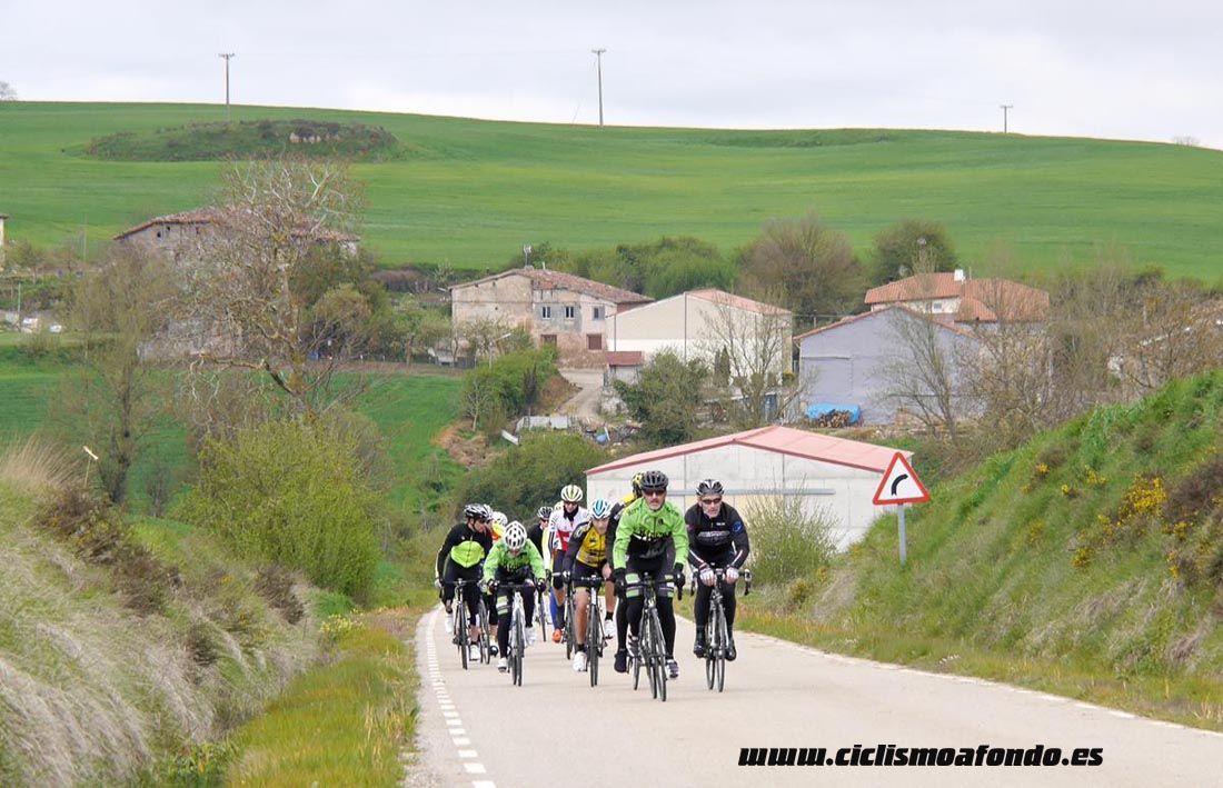 Kedada Urrez Campagnolo 2016_1