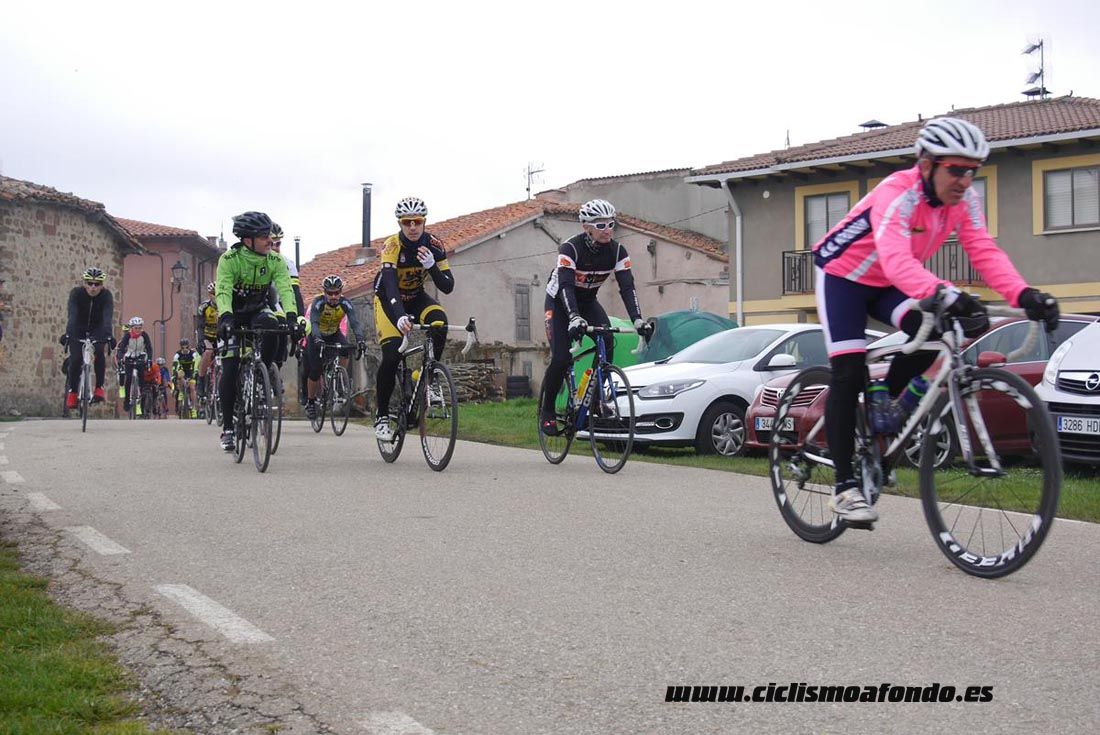 Kedada Urrez Campagnolo 2016_1