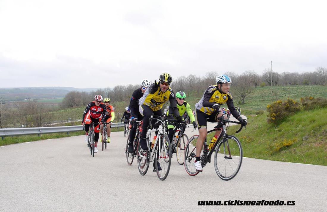 Kedada Urrez Campagnolo 2016_1