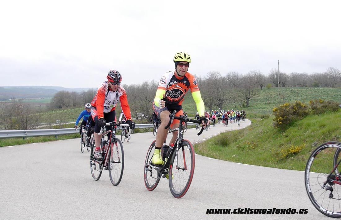 Kedada Urrez Campagnolo 2016_1
