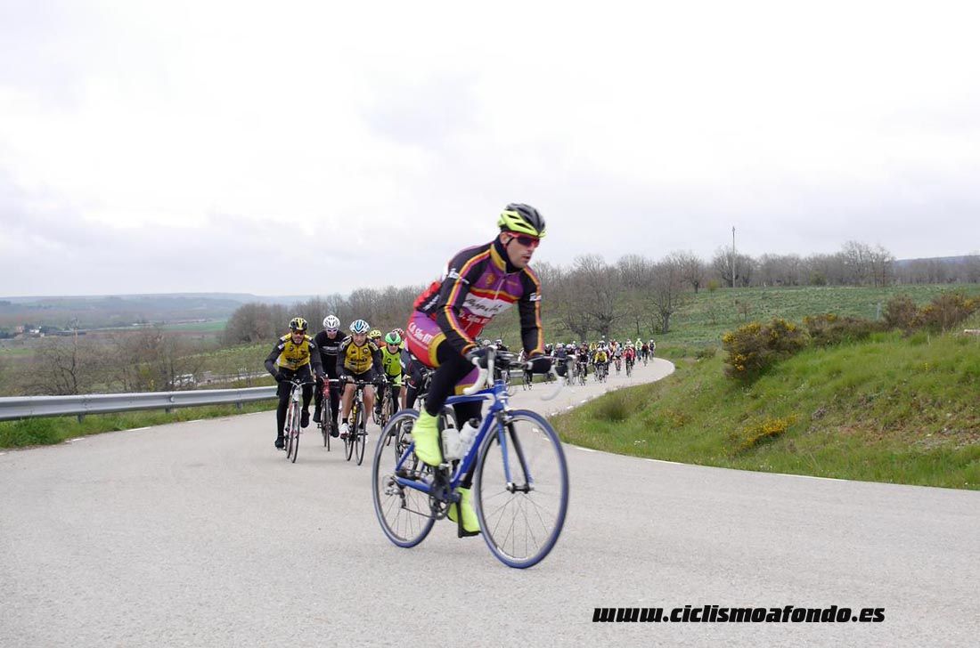 Kedada Urrez Campagnolo 2016_1