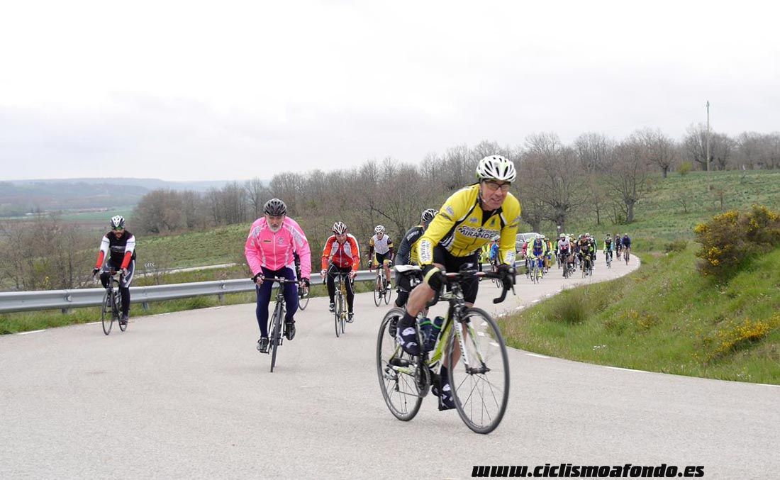 Kedada Urrez Campagnolo 2016_1