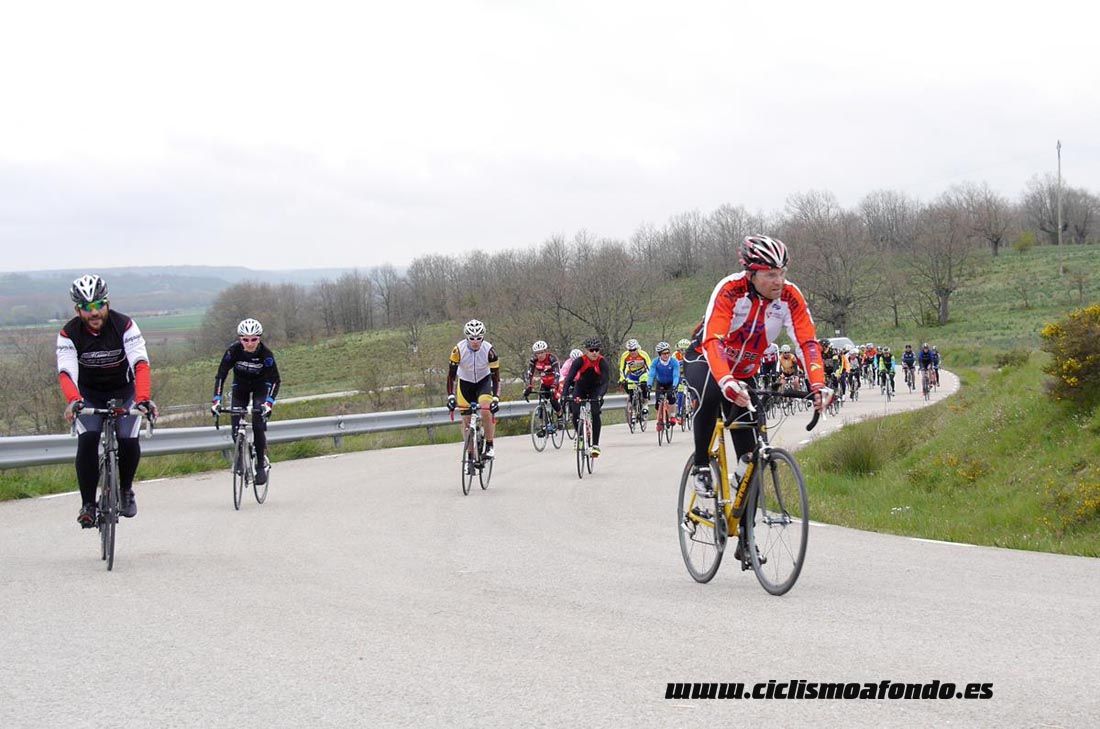 Kedada Urrez Campagnolo 2016_1