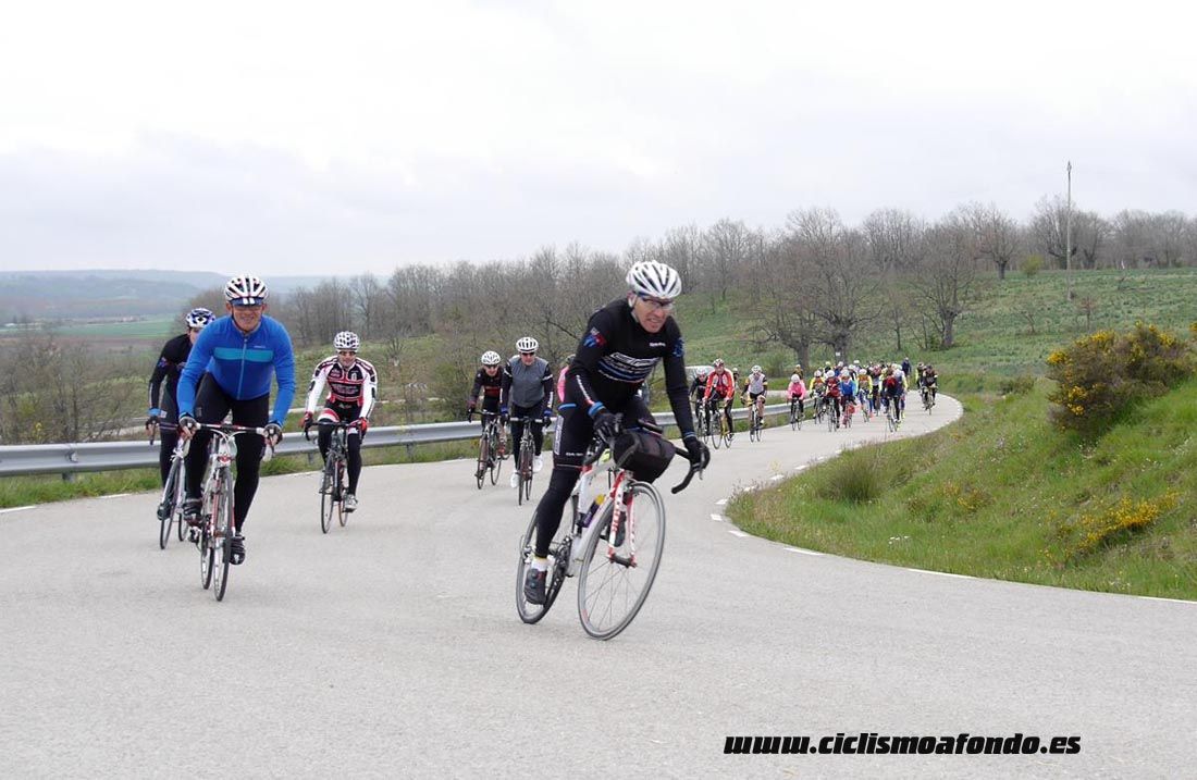 Kedada Urrez Campagnolo 2016_1