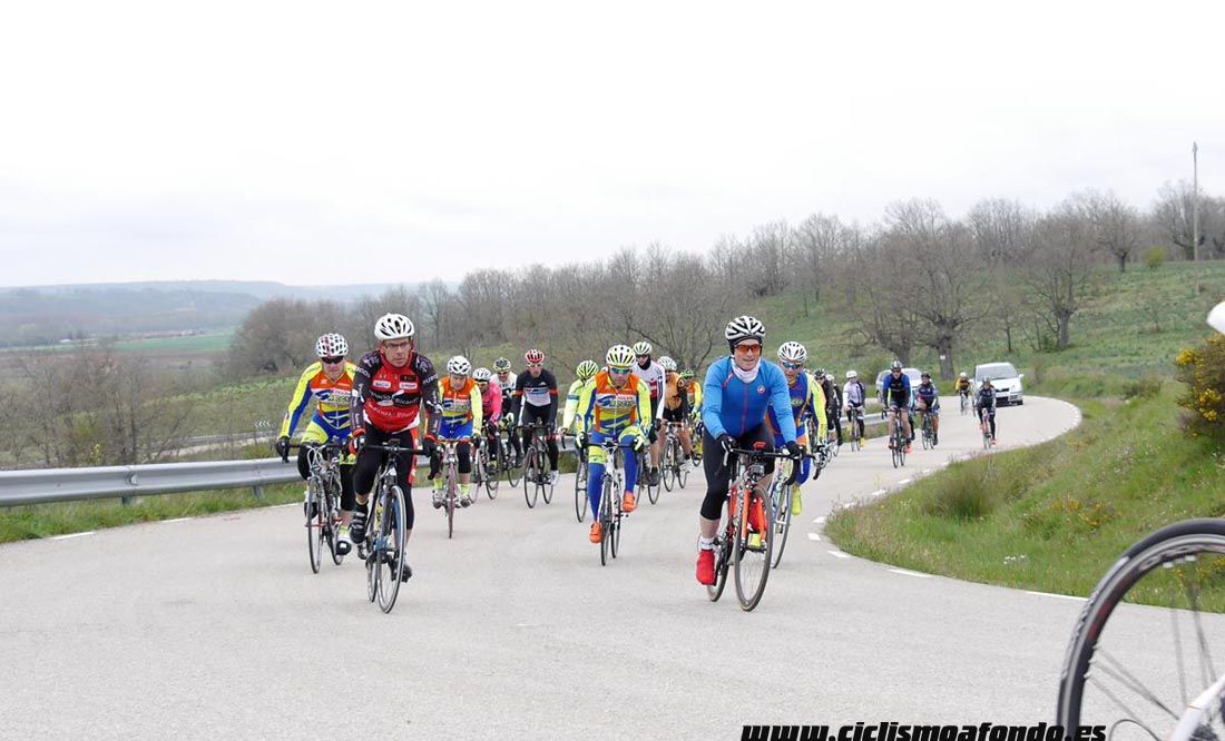 Kedada Urrez Campagnolo 2016_1