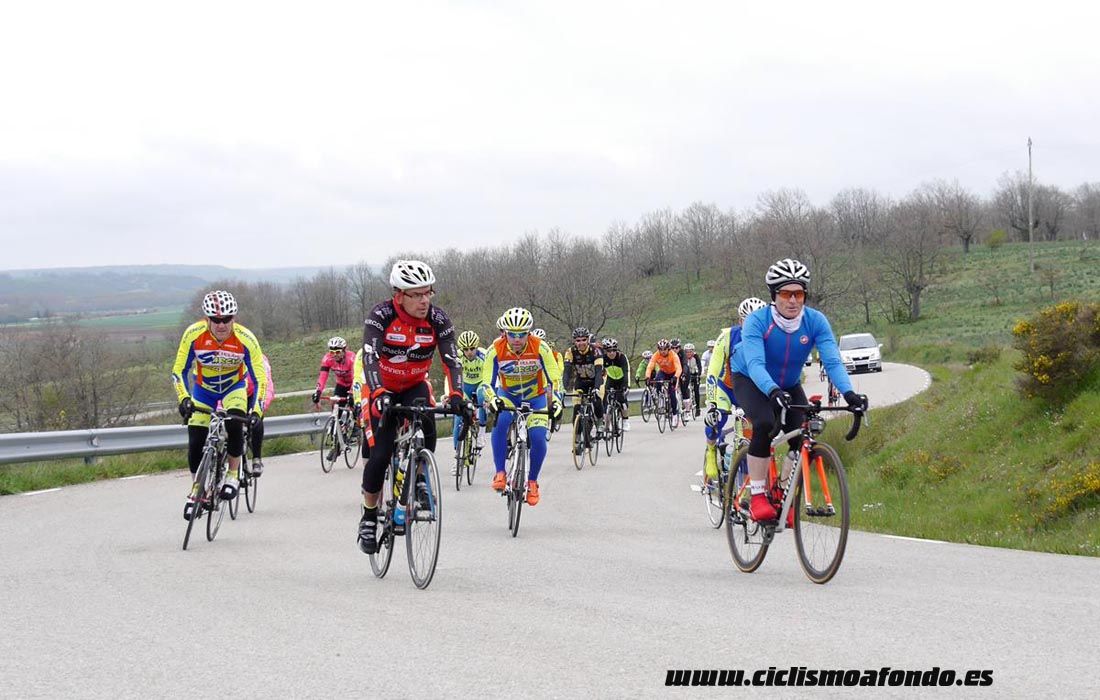 Kedada Urrez Campagnolo 2016_1