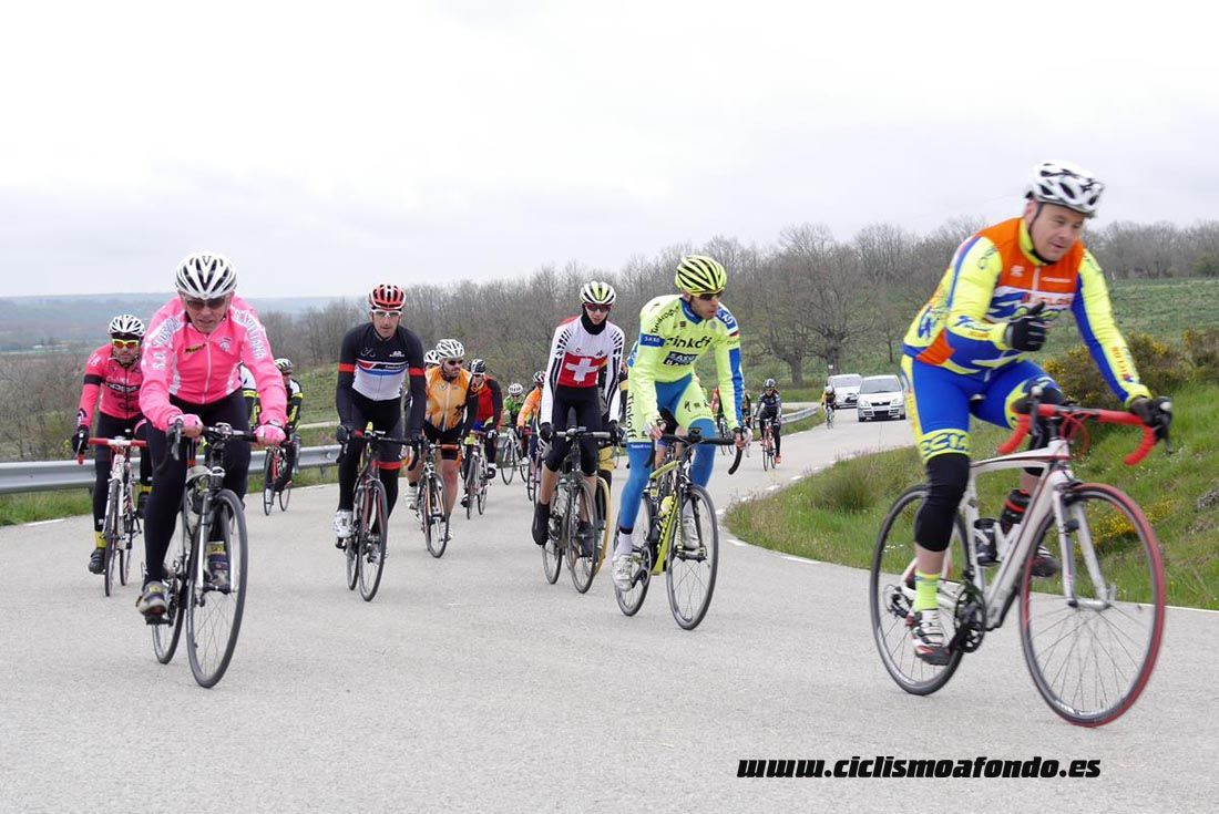 Kedada Urrez Campagnolo 2016_1
