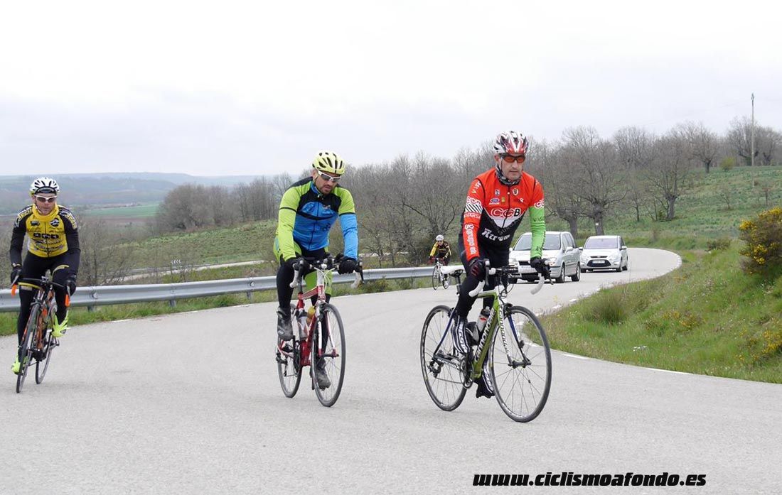 Kedada Urrez Campagnolo 2016_1