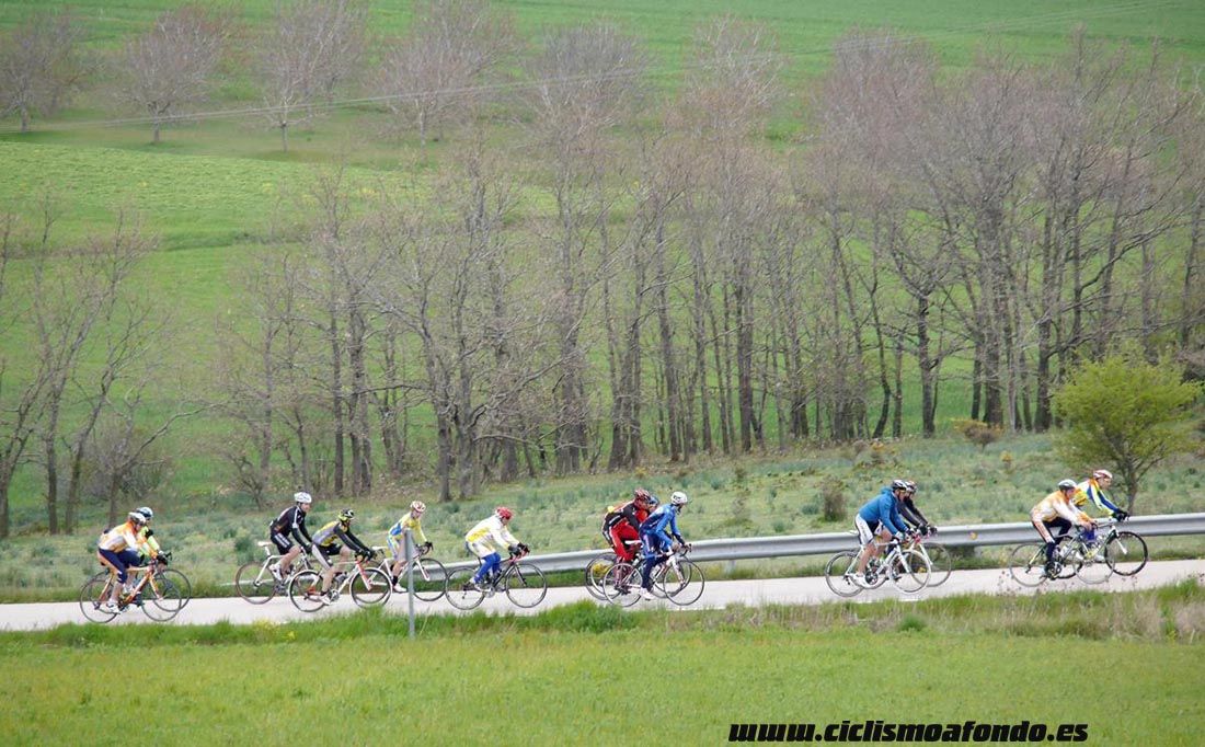 Kedada Urrez Campagnolo 2016_1
