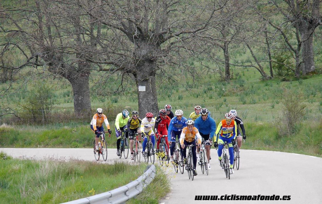 Kedada Urrez Campagnolo 2016_1