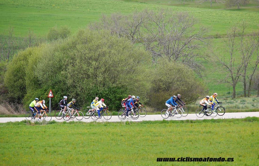 Kedada Urrez Campagnolo 2016_1