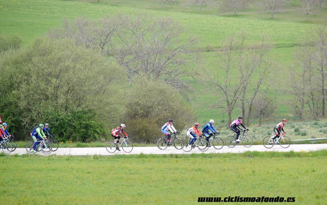 Kedada Urrez Campagnolo 2016_1