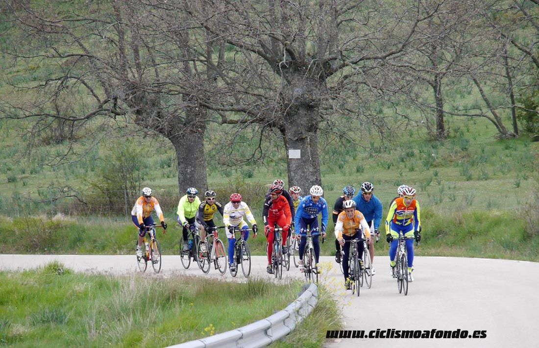 Kedada Urrez Campagnolo 2016_1