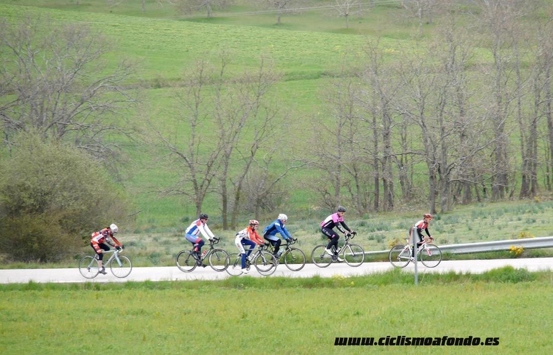 Kedada Urrez Campagnolo 2016_1