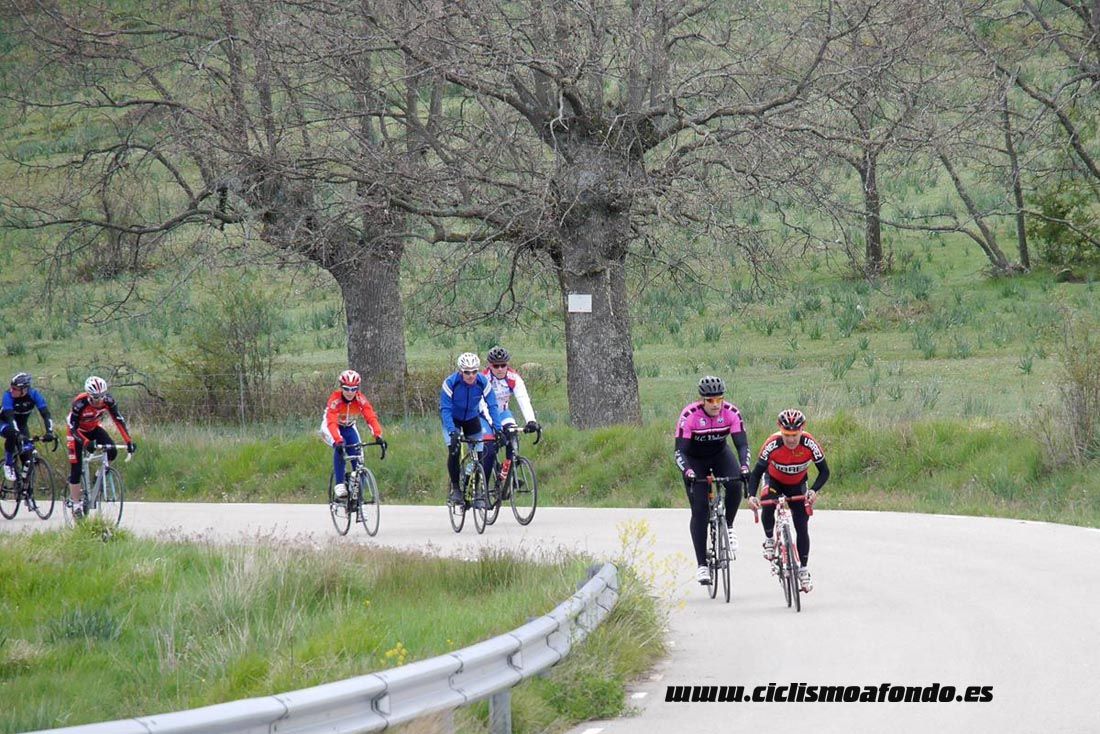 Kedada Urrez Campagnolo 2016_1