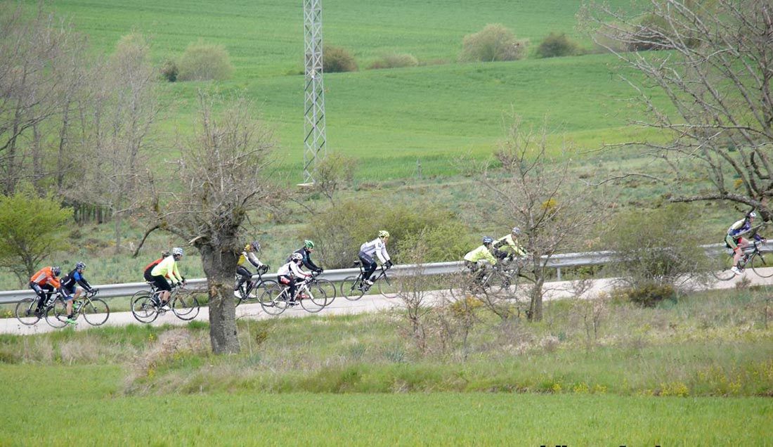 Kedada Urrez Campagnolo 2016_1