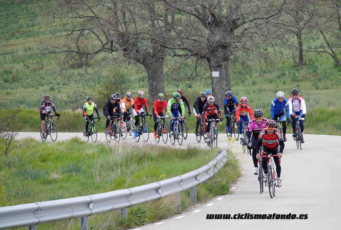 Kedada Urrez Campagnolo 2016_1